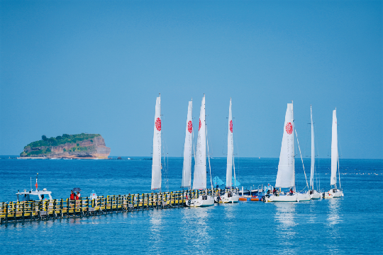 广西大藤峡 富硒茶（恩施富硒藤茶多少钱一斤）-硒宝网