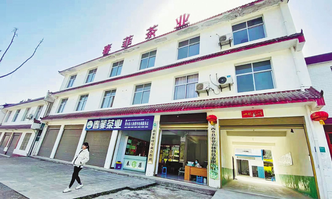 富硒茶 天热无污染(富硒茶硒含量的标准)-硒宝网