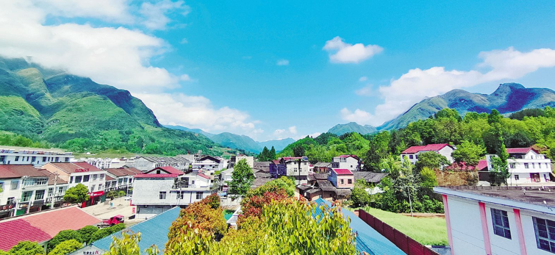 富硒茶 天热无污染(富硒茶硒含量的标准)-硒宝网