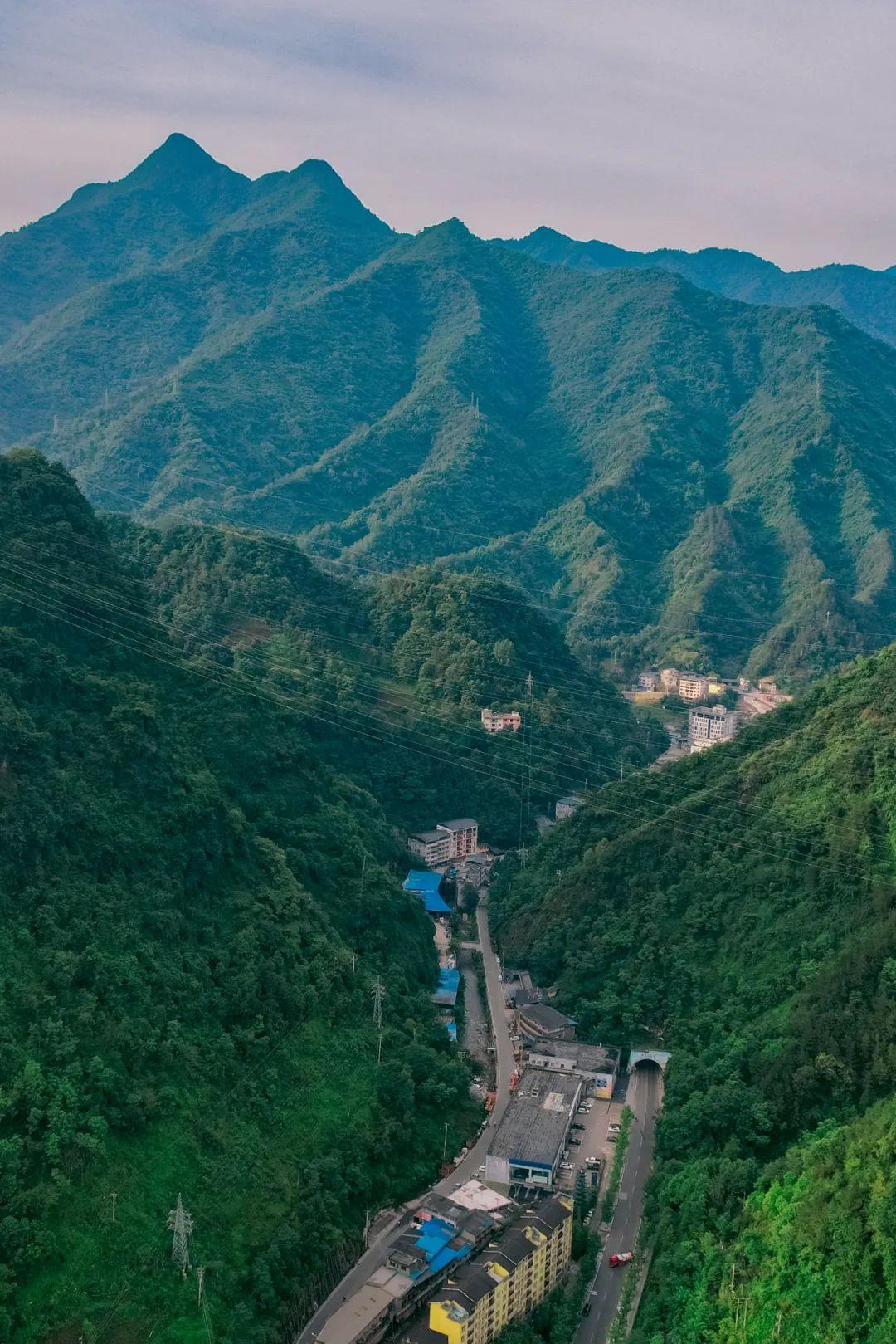 重庆城口富硒茶产地(重庆富硒小镇)-硒宝网