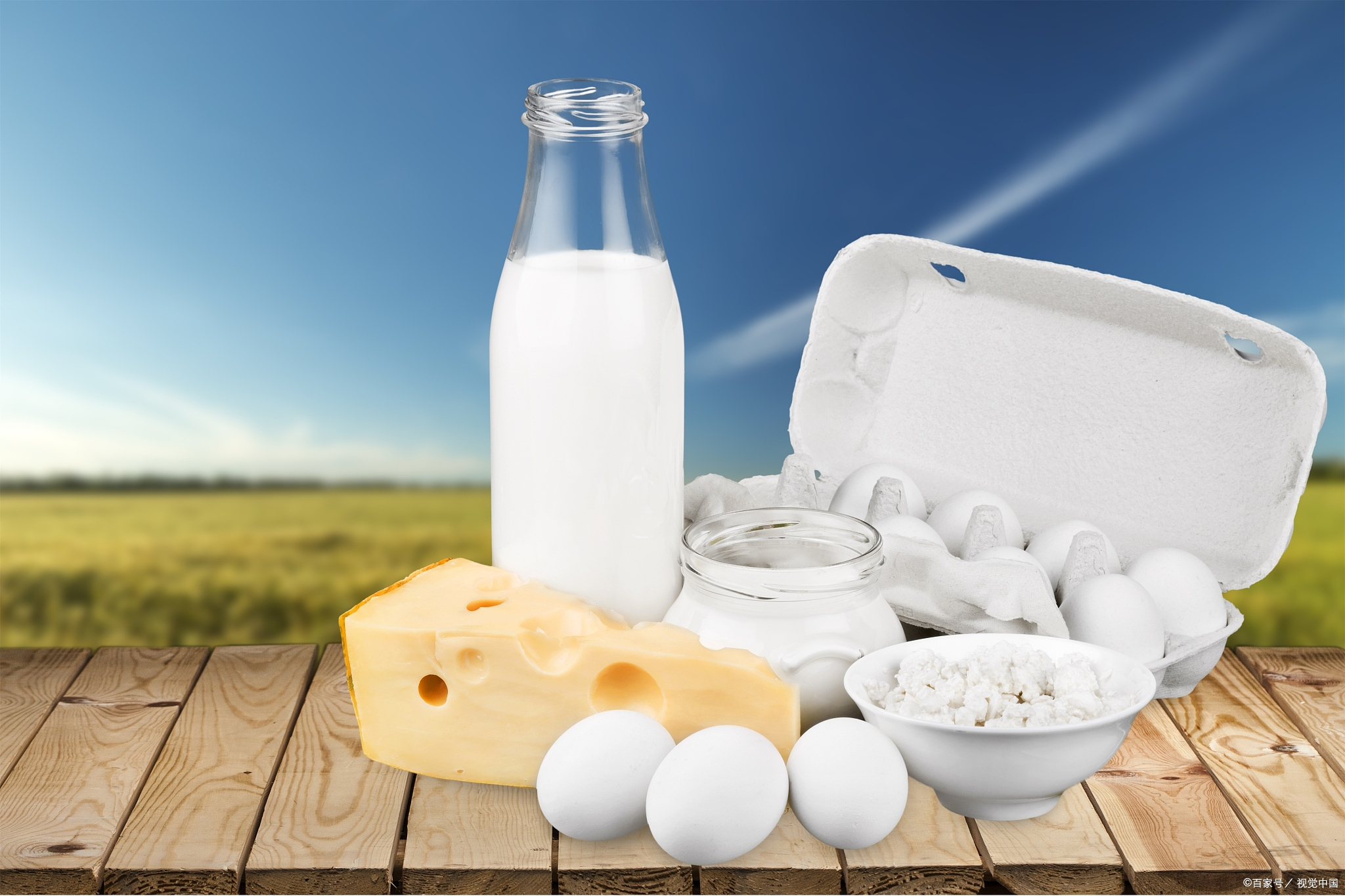 虾壳补钙（虾壳补钙辟谣）-硒宝网