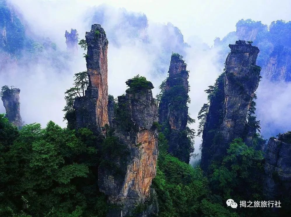 恩施富硒茶生产日期（恩施富硒茶厂）-硒宝网