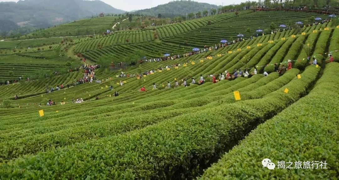 恩施富硒茶生产日期（恩施富硒茶厂）-硒宝网