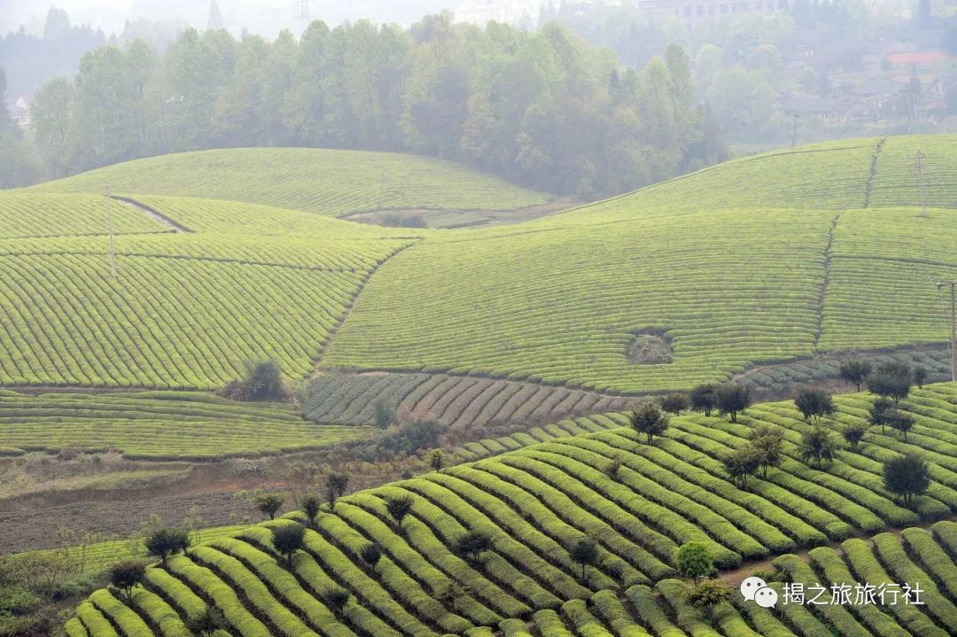 恩施富硒茶生产日期（恩施富硒茶厂）-硒宝网