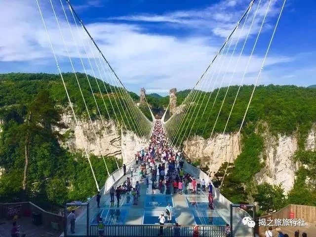 恩施富硒茶生产日期（恩施富硒茶厂）-硒宝网