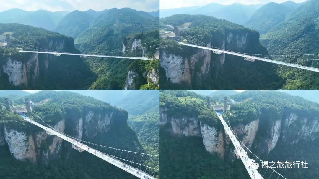 恩施富硒茶生产日期（恩施富硒茶厂）-硒宝网