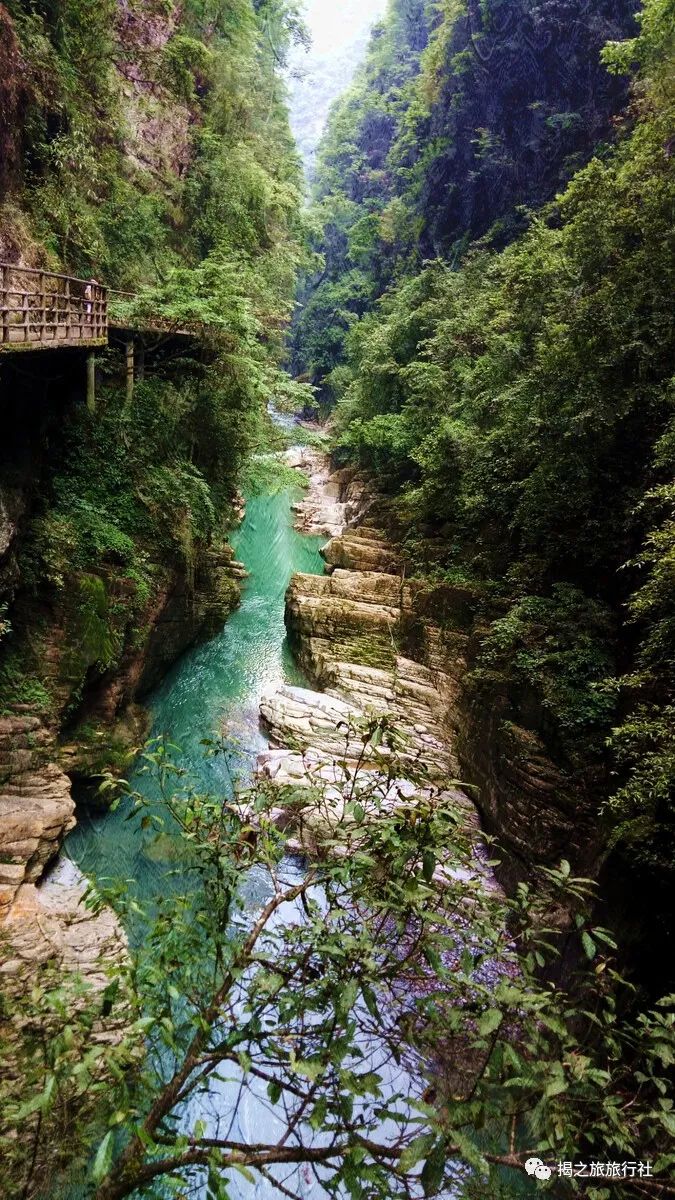 恩施富硒茶生产日期（恩施富硒茶厂）-硒宝网
