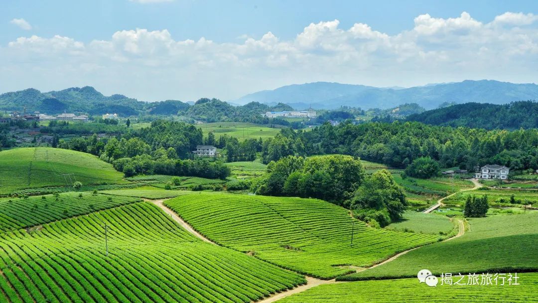 恩施富硒茶生产日期（恩施富硒茶厂）-硒宝网