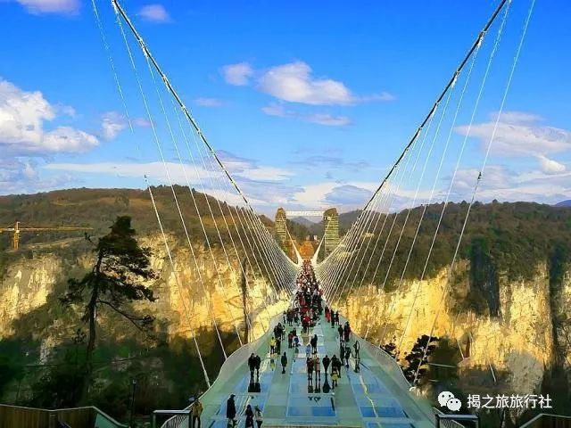 恩施富硒茶生产日期（恩施富硒茶厂）-硒宝网