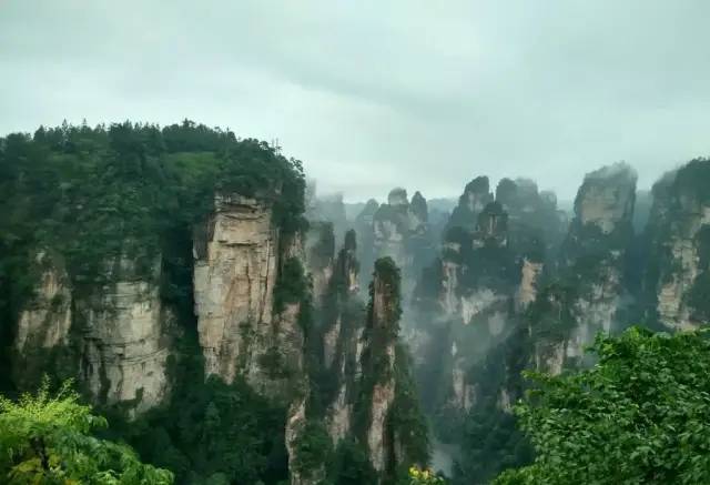 恩施富硒茶生产日期（恩施富硒茶厂）-硒宝网