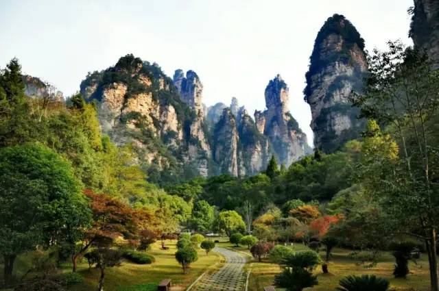 恩施富硒茶生产日期（恩施富硒茶厂）-硒宝网