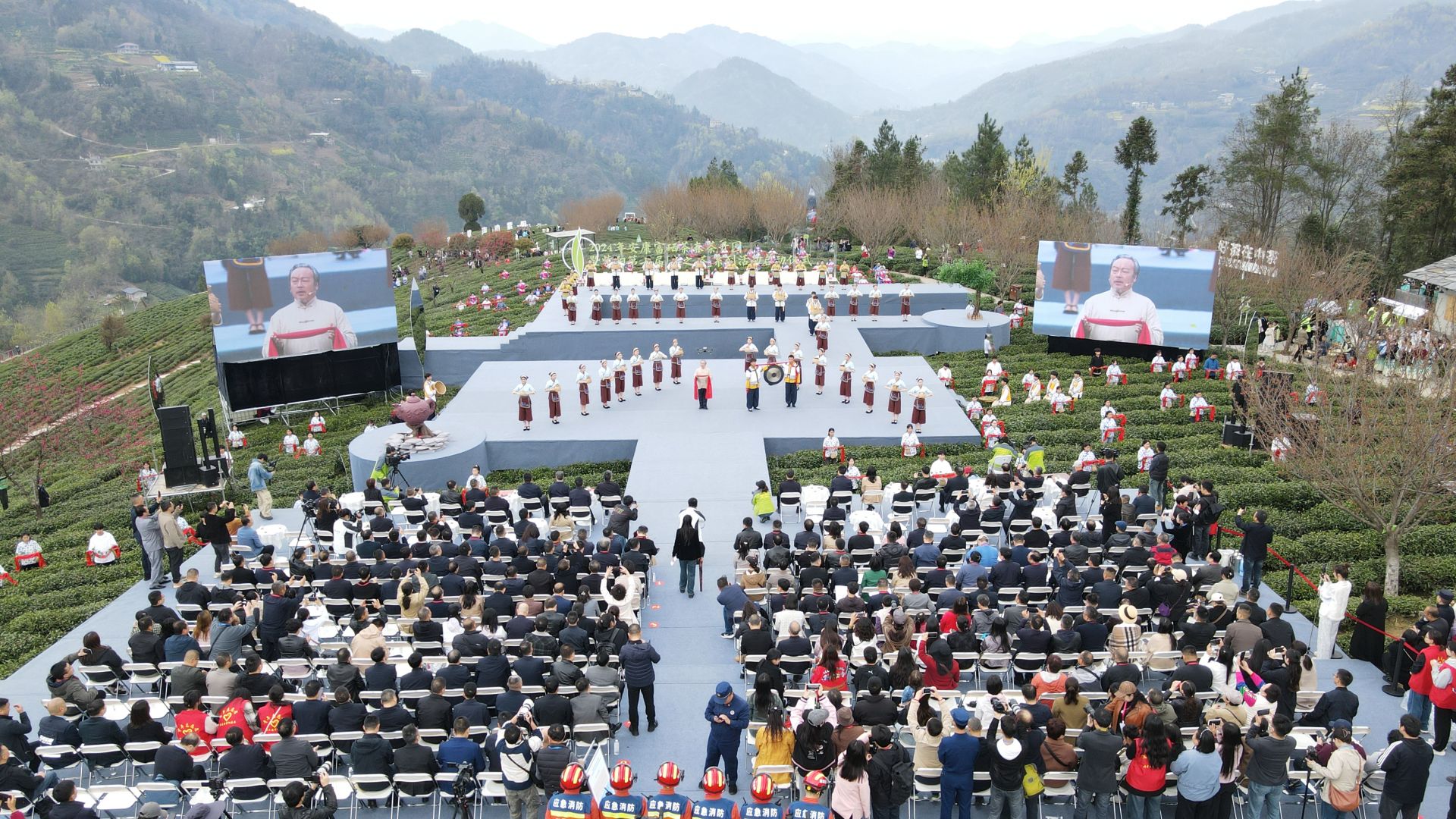 蒿坪毛尖紫阳富硒茶(紫阳毛尖含硒量多少)-硒宝网