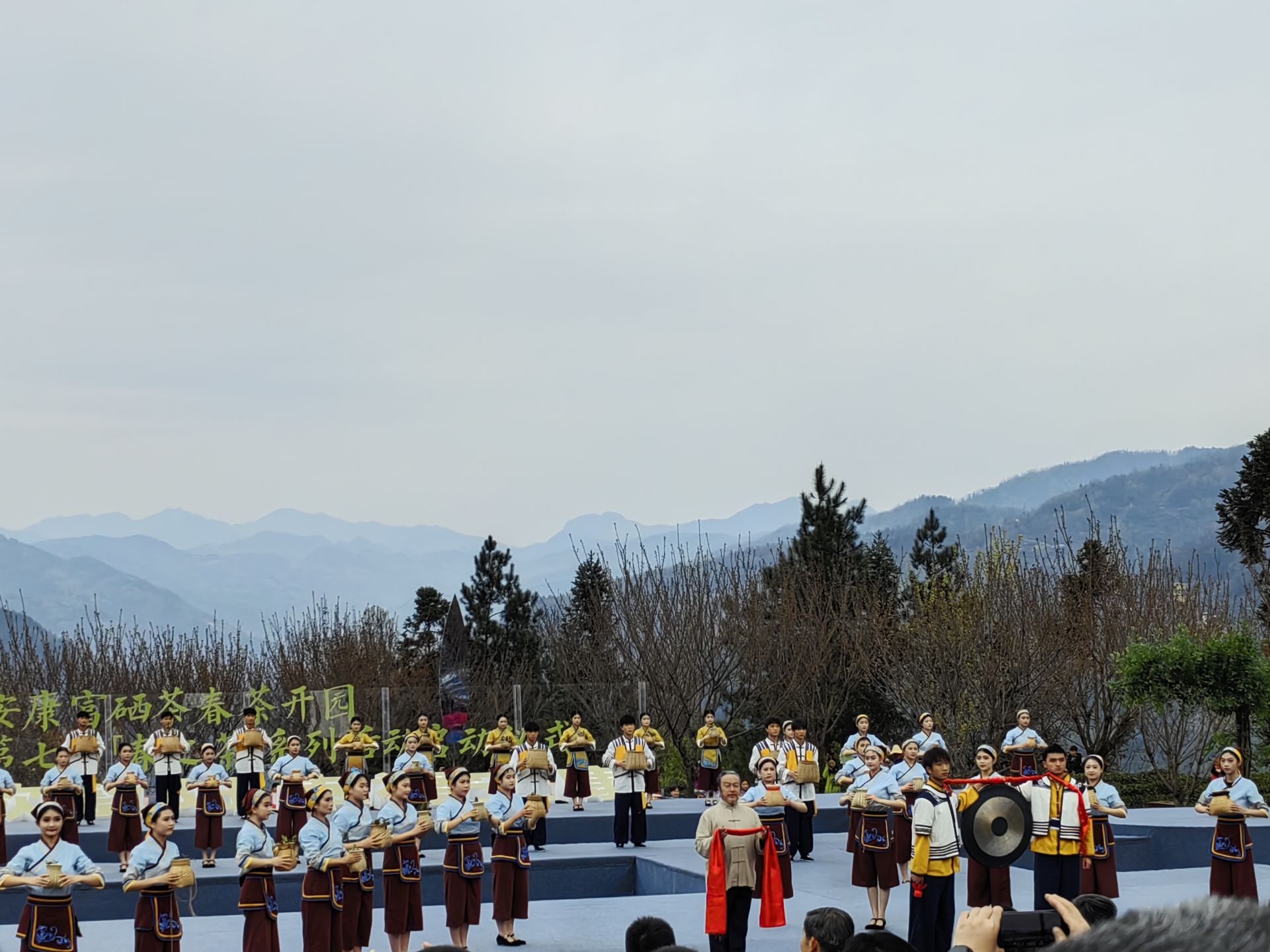 蒿坪毛尖紫阳富硒茶(紫阳毛尖含硒量多少)-硒宝网
