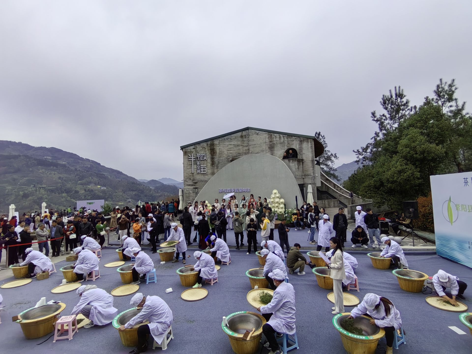 蒿坪毛尖紫阳富硒茶(紫阳毛尖含硒量多少)-硒宝网