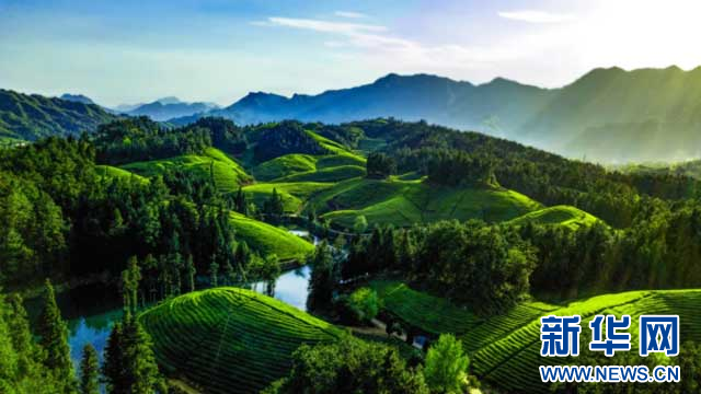 恩施富硒茶生产日期(恩施富硒茶叶多少钱一斤)-硒宝网