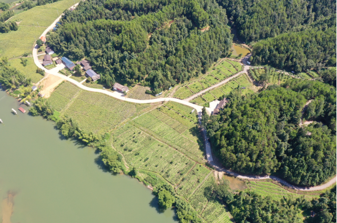 沩山富硒茶价格多少（富硒茶庄）-硒宝网