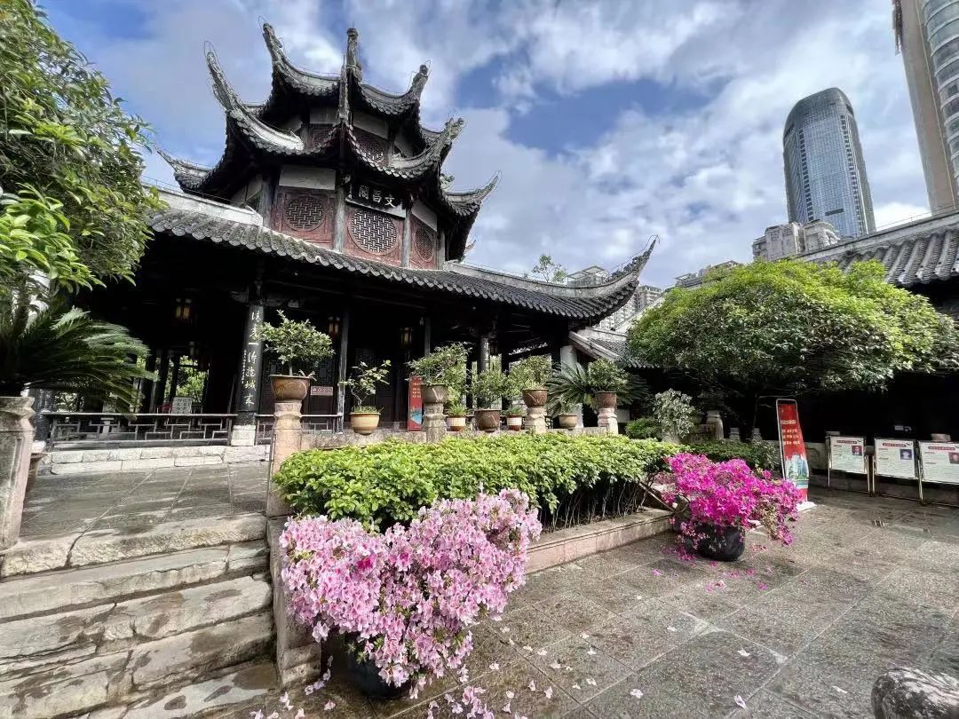 对贵州富硒茶的介绍（贵州富硒茶叶价格表）-硒宝网