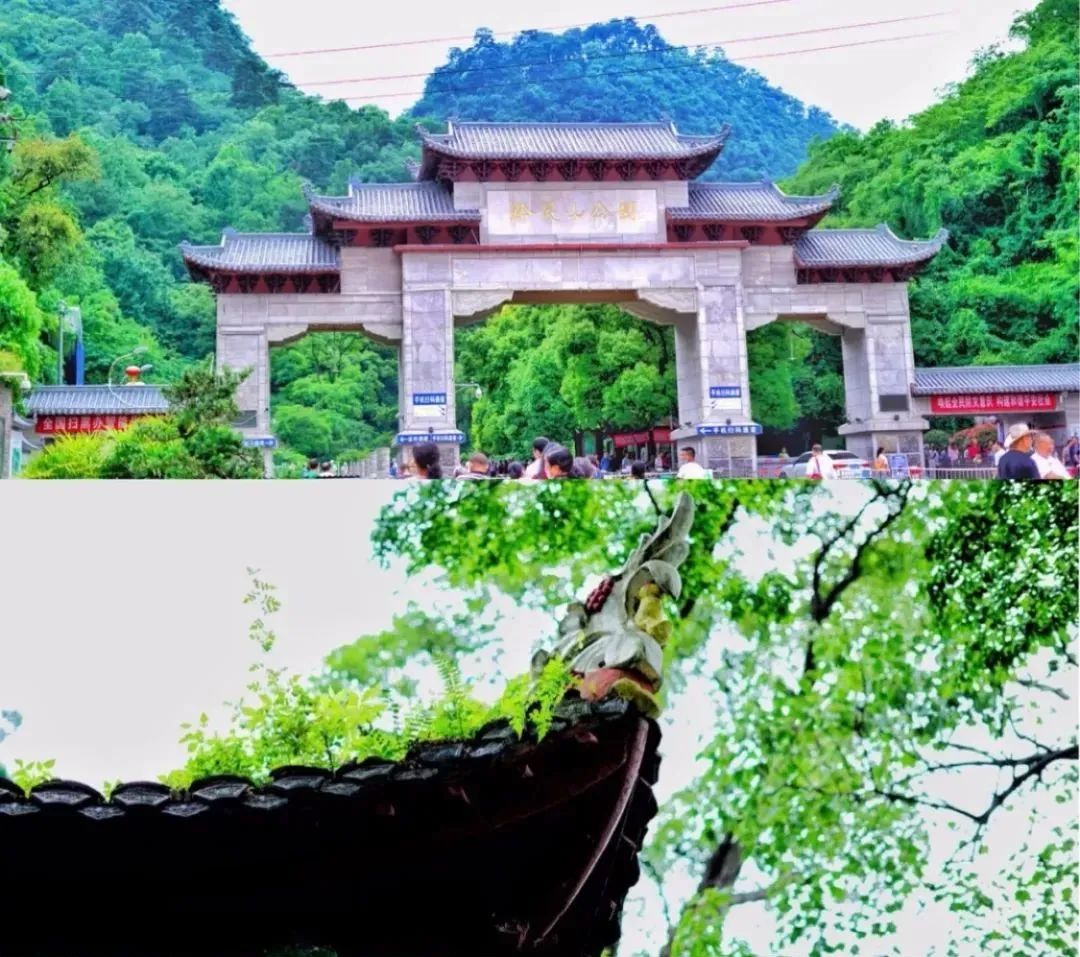 对贵州富硒茶的介绍（贵州富硒茶叶价格表）-硒宝网