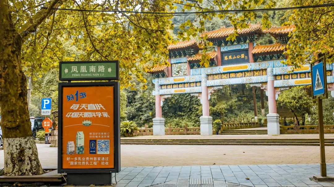 对贵州富硒茶的介绍（贵州富硒茶叶价格表）-硒宝网