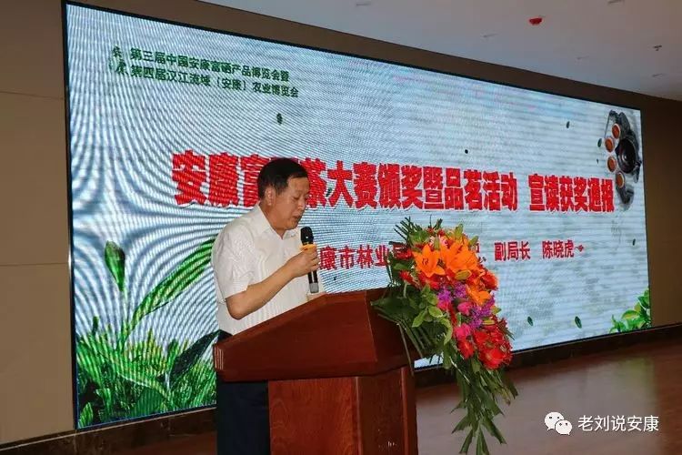 资阳富硒茶是绿茶吗(富硒绿茶属于什么茶)-硒宝网