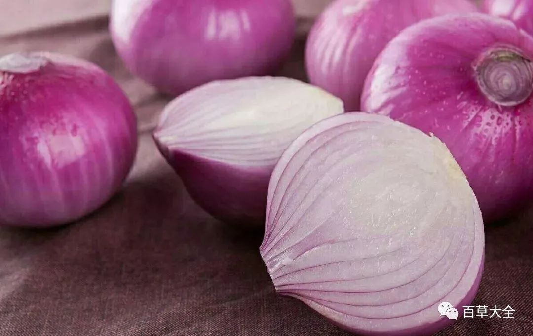 什么蔬菜最补钙（吃什么蔬菜补钙）-硒宝网