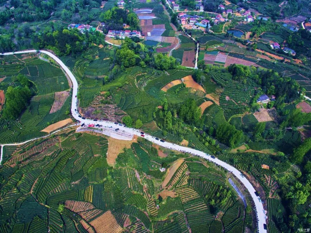 富硒茶和红茶哪个好(富硒红茶的口感)-硒宝网