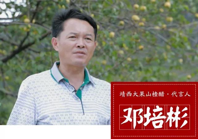 富硒植物山楂茶丁片(养生茶山楂)-硒宝网