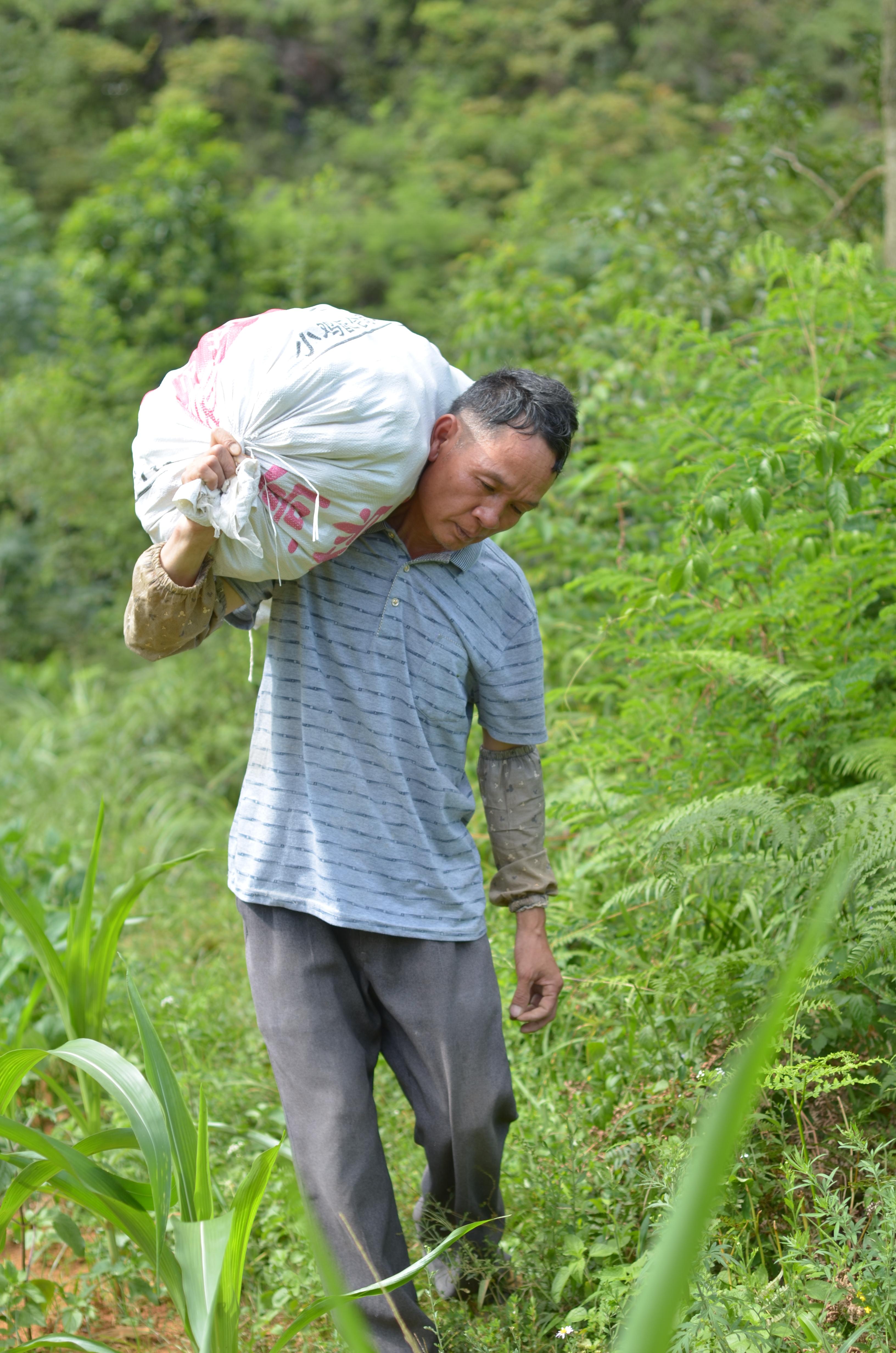 富硒植物山楂茶丁片(养生茶山楂)-硒宝网