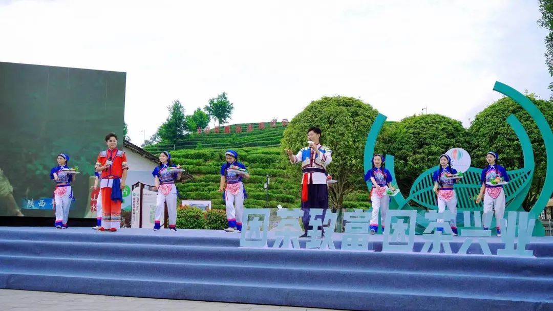 安康茶金富硒茯茶素（安硒山安康富硒茶）-硒宝网