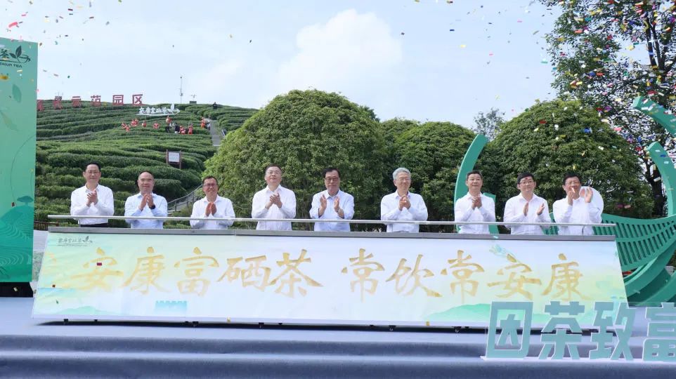 安康茶金富硒茯茶素（安硒山安康富硒茶）-硒宝网