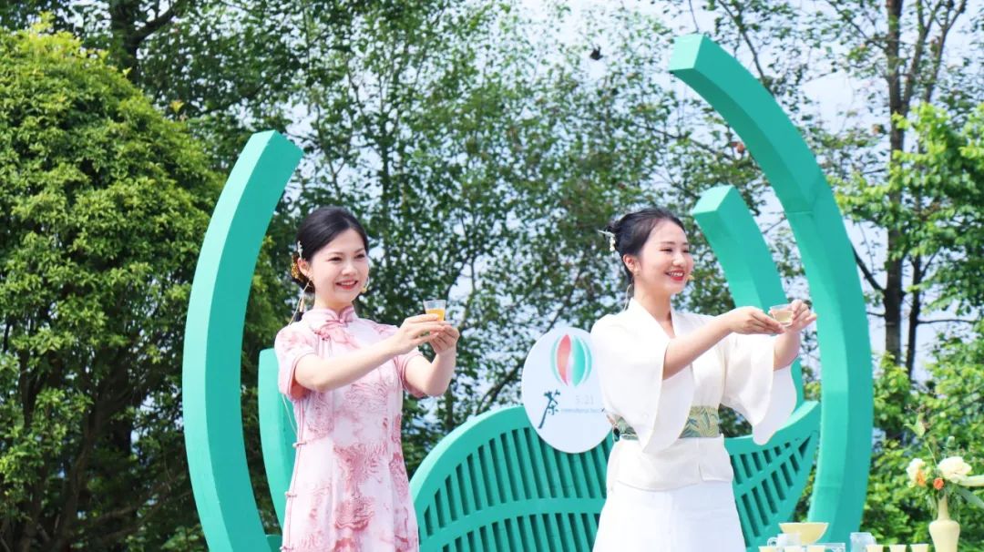 安康茶金富硒茯茶素（安硒山安康富硒茶）-硒宝网