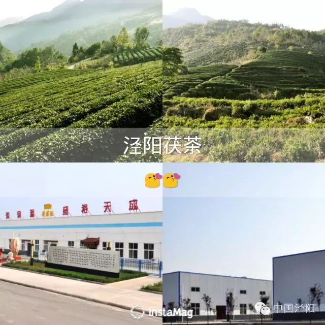 深圳哪里有卖富硒茶(深圳富硒有机农产品)-硒宝网
