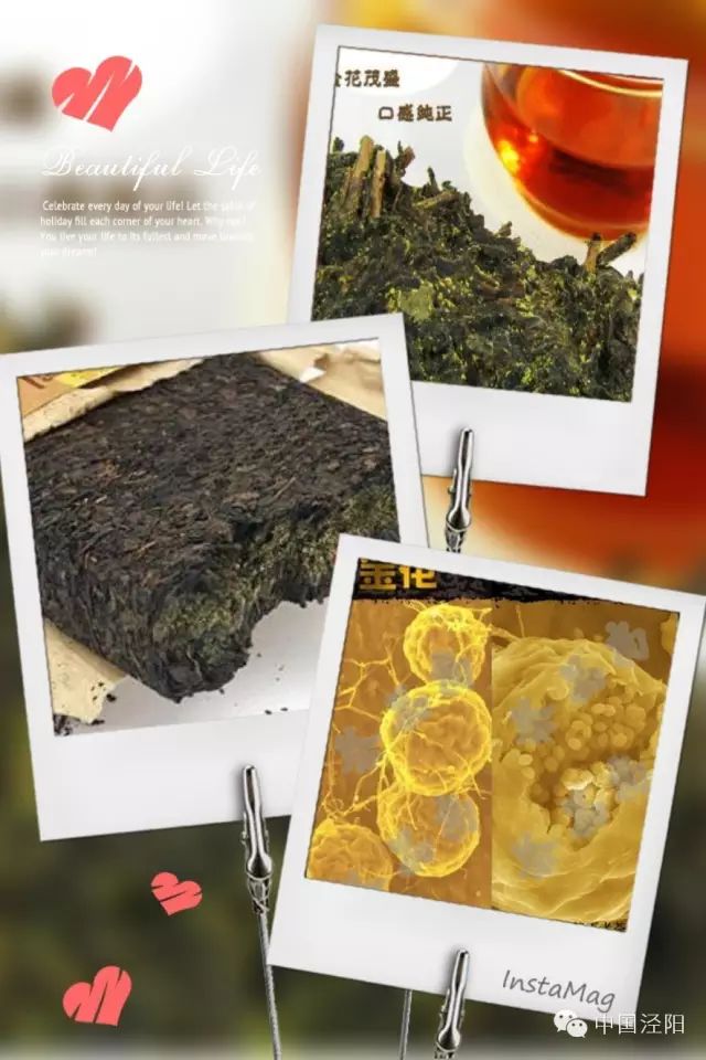 深圳哪里有卖富硒茶(深圳富硒有机农产品)-硒宝网