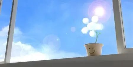 晒太阳能补钙（晒太阳补钙会不会晒黑）-硒宝网