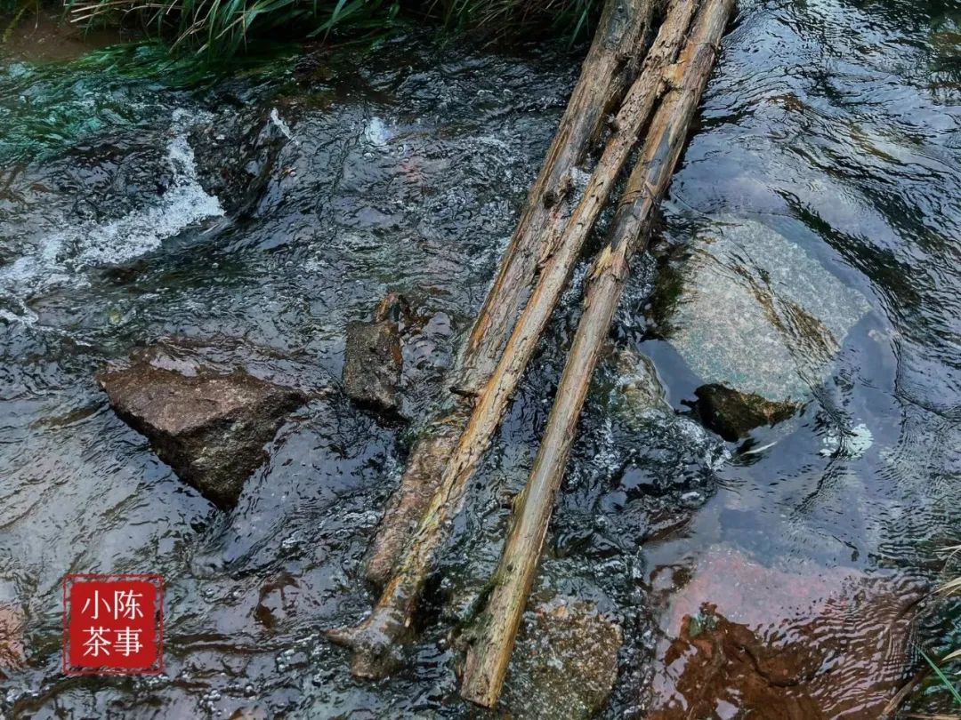 富硒茶喝了会上火吗（天天喝富硒茶会硒中毒吗）-硒宝网