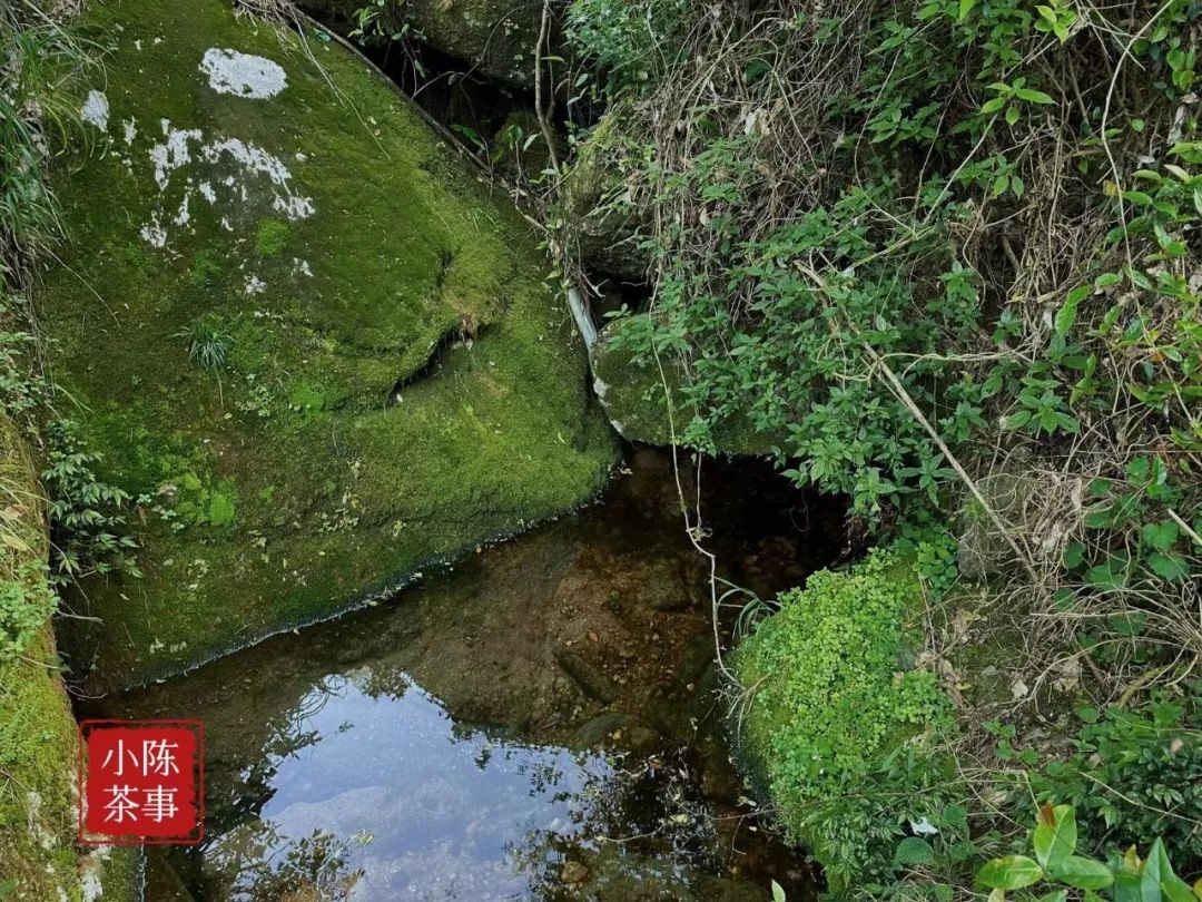 富硒茶喝了会上火吗（天天喝富硒茶会硒中毒吗）-硒宝网