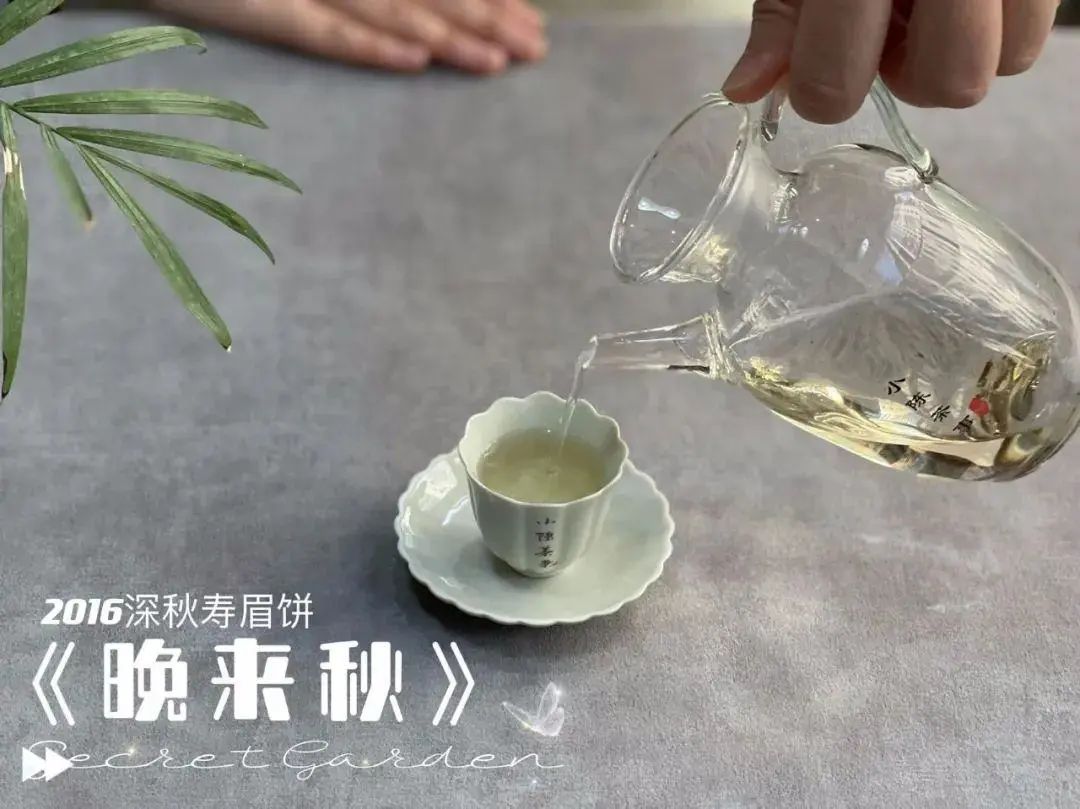 富硒茶喝了会上火吗（富硒茶喝了便秘）-硒宝网