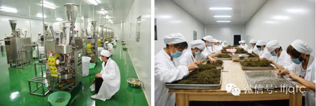 富硒藤茶有这么好吗(富硒藤茶是传销吗)-硒宝网