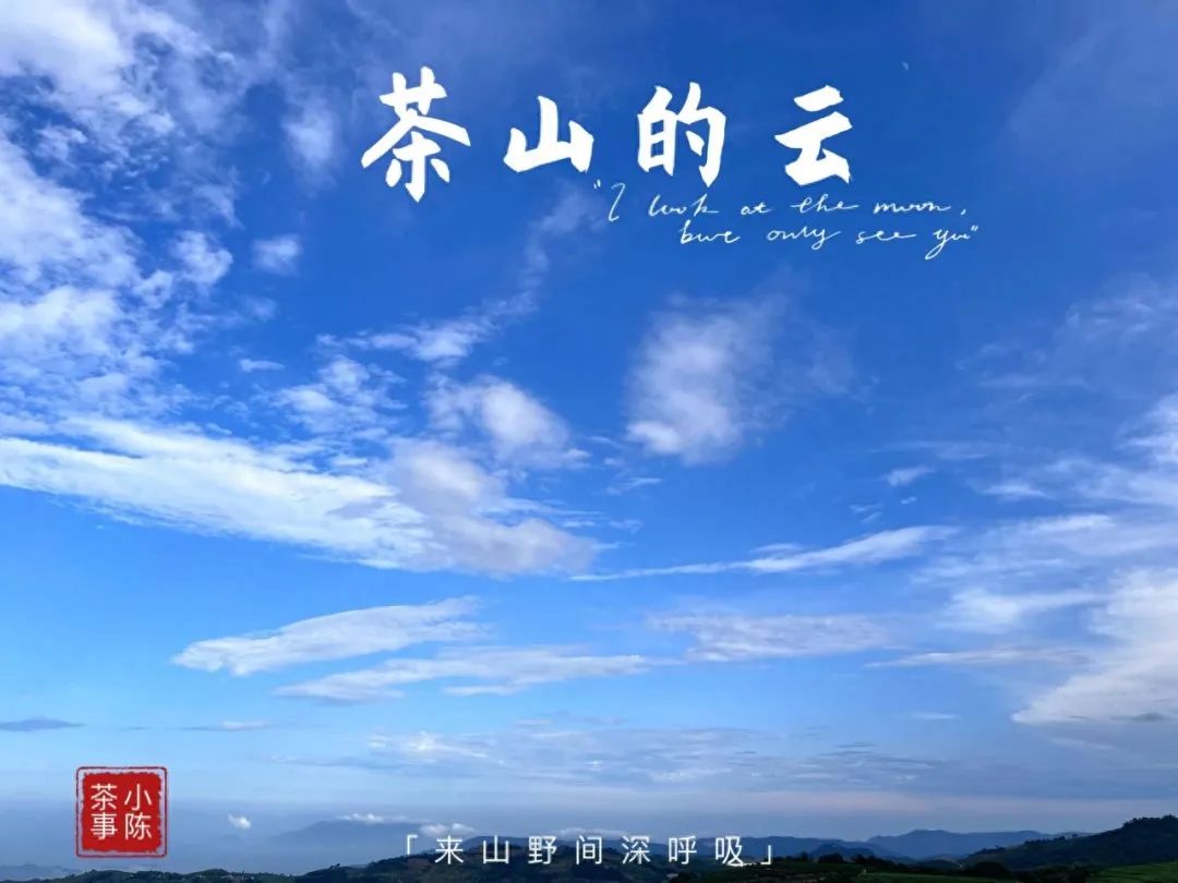 富硒茶喝了会上火吗（富硒茶喝了拉肚子）-硒宝网