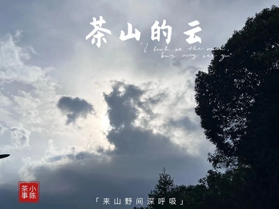 富硒茶喝了会上火吗（富硒茶喝了拉肚子）-硒宝网