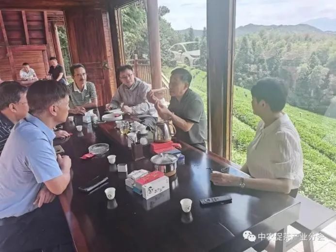 恩施富硒植物速溶茶(湖北恩施富硒速溶茶)-硒宝网