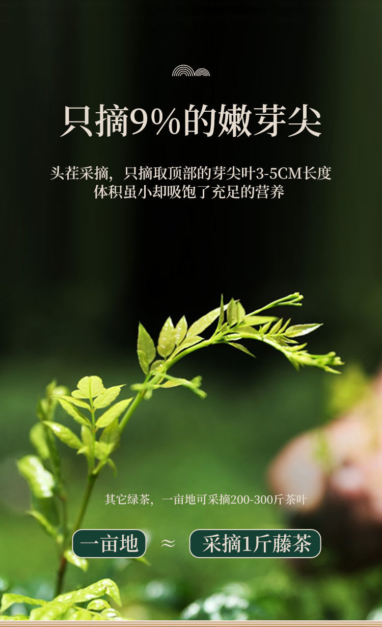 富硒藤茶有这么好吗(富硒藤茶如何冲泡)-硒宝网