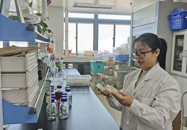 富硒茶对肥料的要求（茶富硒肥料要求高吗）-硒宝网