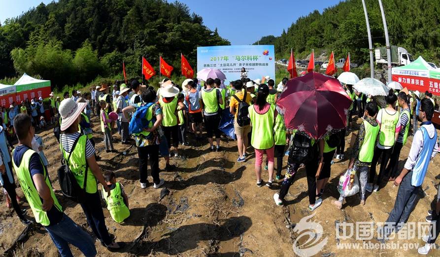 恩施富硒植物速溶茶(恩施富硒茶是绿茶吗)-硒宝网