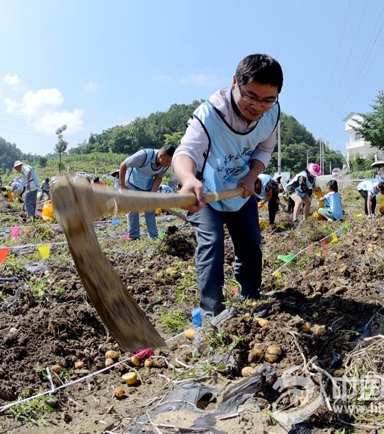 恩施富硒植物速溶茶(恩施富硒茶是绿茶吗)-硒宝网
