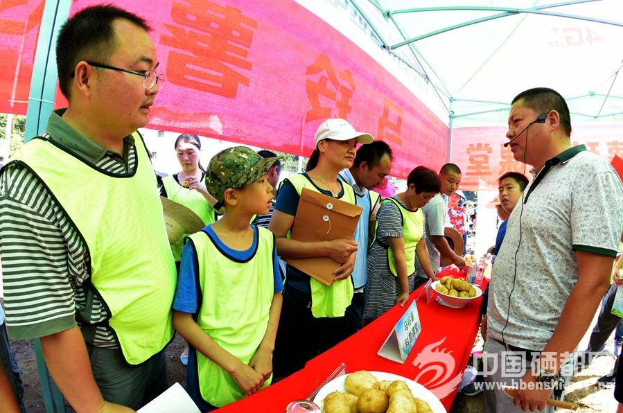恩施富硒植物速溶茶(恩施富硒茶是绿茶吗)-硒宝网