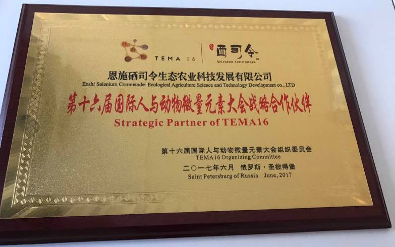 恩施富硒植物速溶茶(恩施富硒茶是绿茶吗)-硒宝网