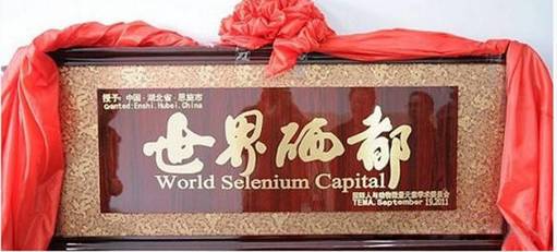 恩施富硒植物速溶茶(恩施富硒茶是绿茶吗)-硒宝网