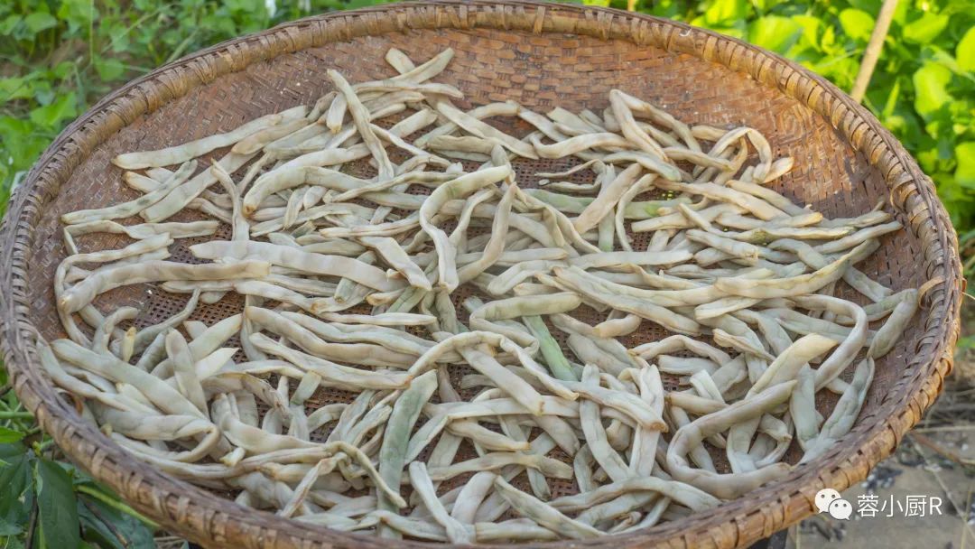 什么蔬菜能补钙(蔬菜能补钙吗)-硒宝网