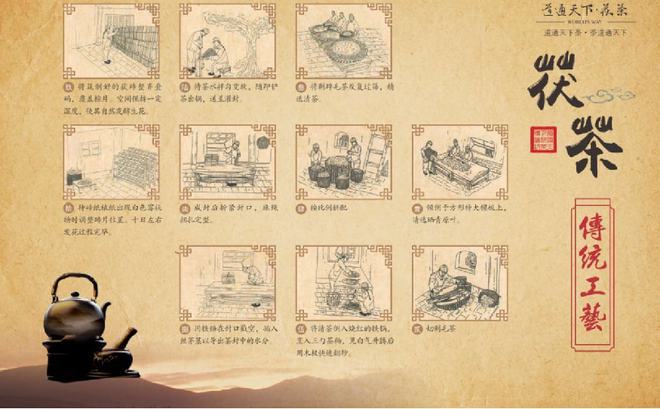 紫阳富硒茶有啥品种(紫阳富硒茶品种和单价)-硒宝网